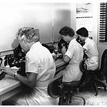 Healing Women: Medical History from a Female Perspective Healing Women: Medical History from a Female Perspective