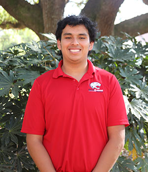 Rogelio