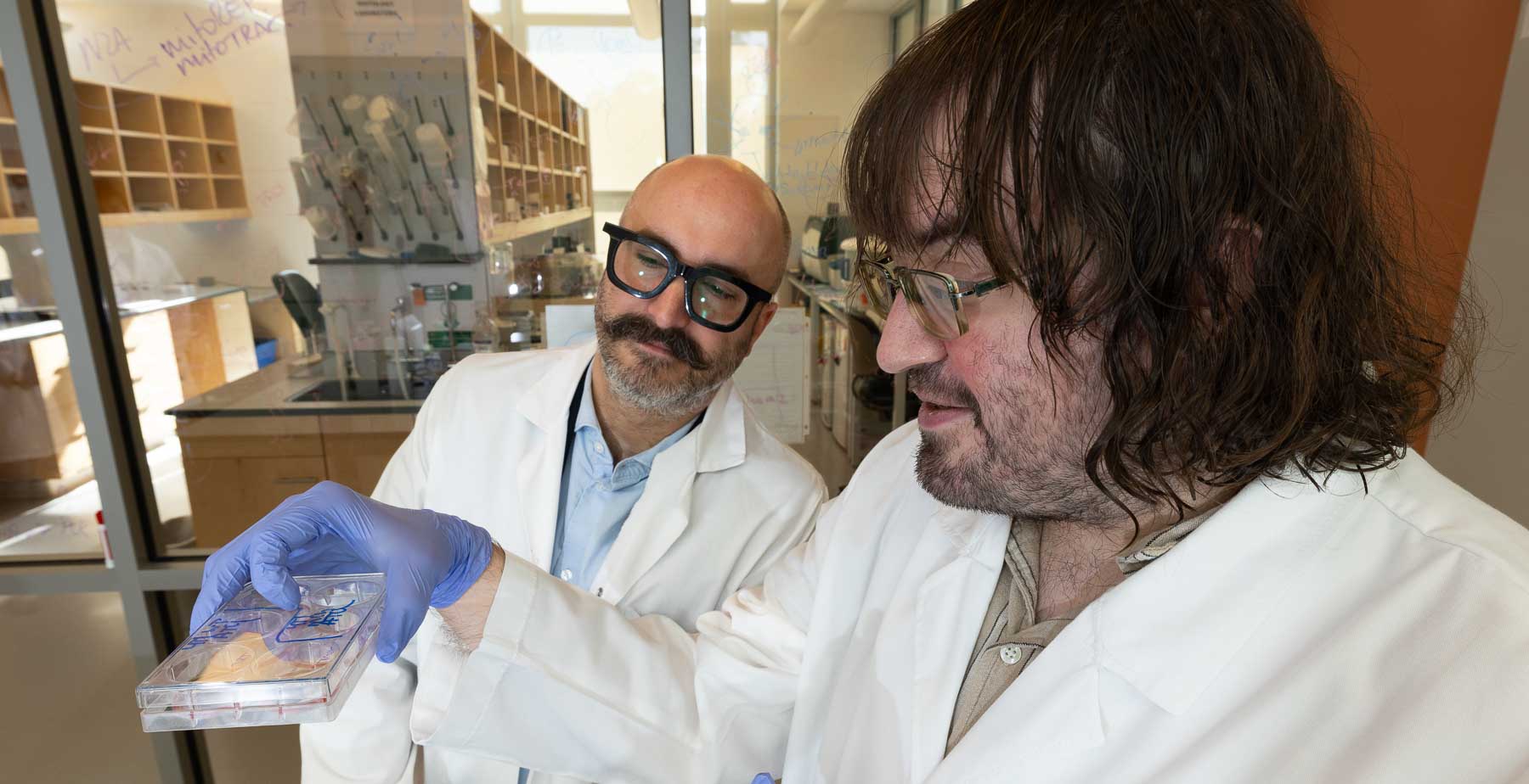 Dr. Simon Grelet, left, assistant professor of biochemistry and molecular biology in the Frederick P. Whiddon College of Medicine, works with lab technician Gregory Hoover in Grelet's lab at the USA Health Mitchell Cancer Institute. data-lightbox='featured'