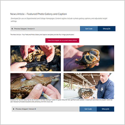 News Article - Featured Photo Gallery and Caption