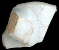 Sample 166 FBL5 Normandy Plain 1MB94 Sample 166 FBL5 Normandy Plain 1MB94